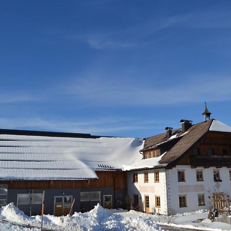 Vorderreithbauer Apartment Hof bei Salzburg Bagian luar foto