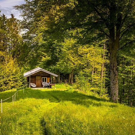 Vorderreithbauer Apartment Hof bei Salzburg Bagian luar foto