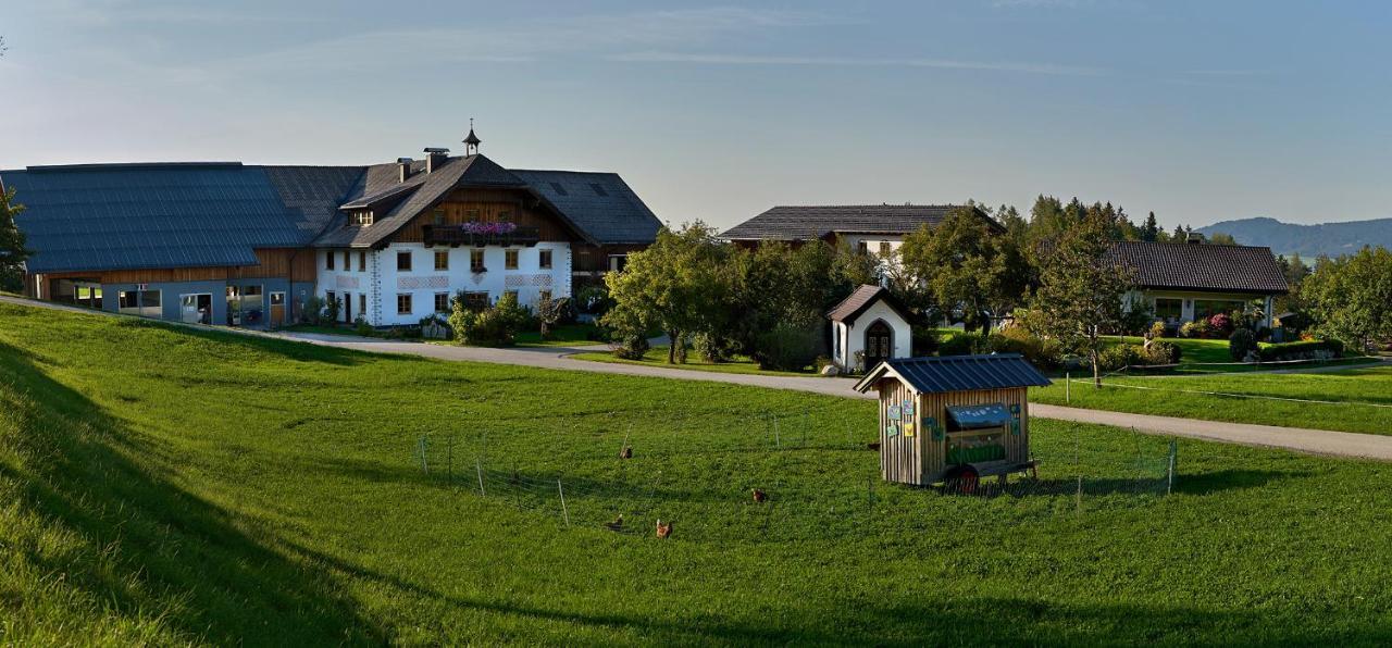 Vorderreithbauer Apartment Hof bei Salzburg Bagian luar foto
