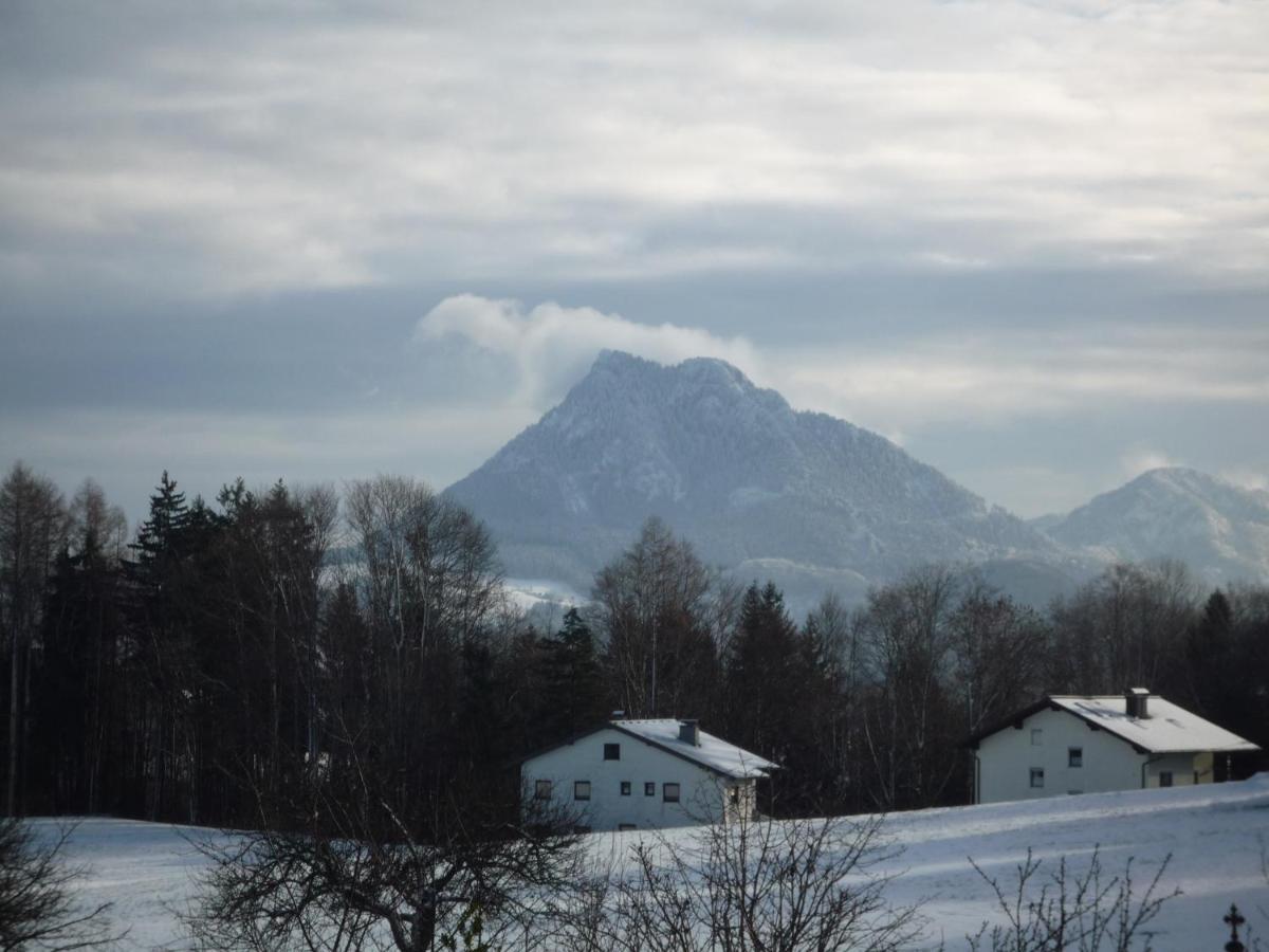Vorderreithbauer Apartment Hof bei Salzburg Bagian luar foto